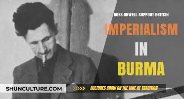 Orwell's Burmese Days: A Critique of British Imperialism
