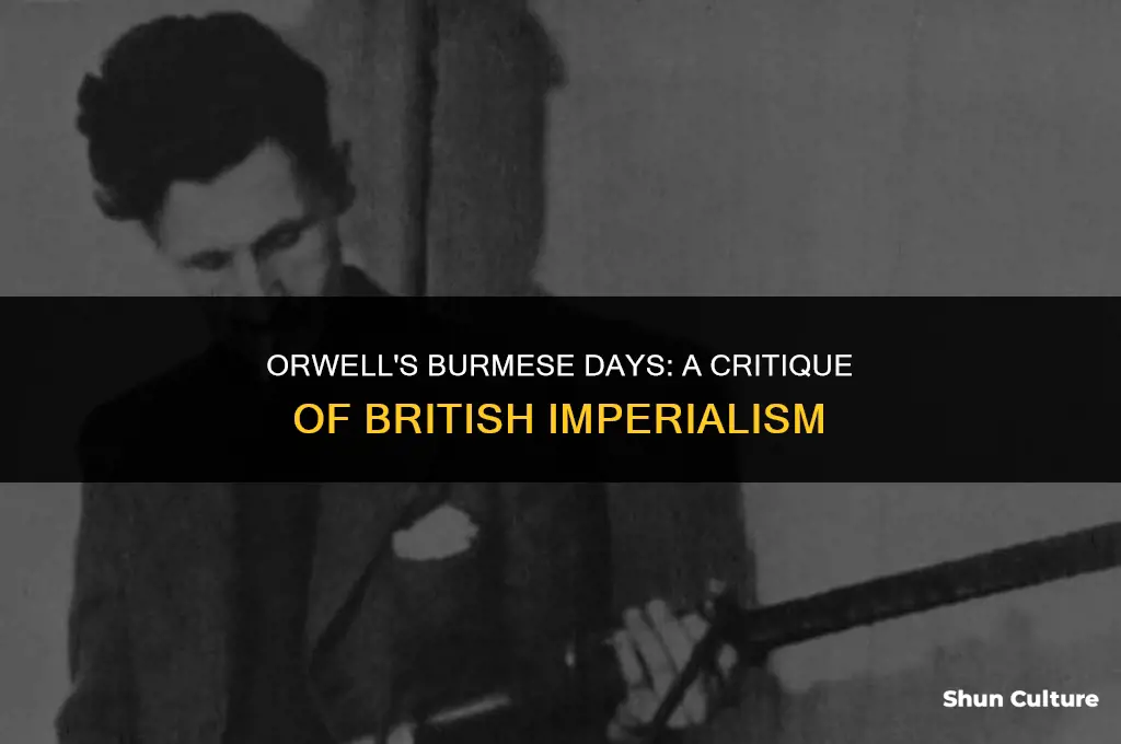 does orwell support british imperialism in burma