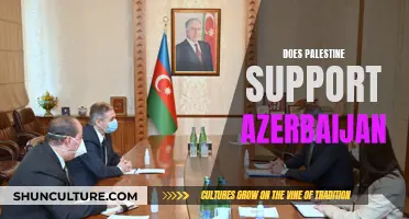 Palestine-Azerbaijan: A Complex Relationship of Mutual Support