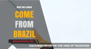 Palo Santo Origins: Does This Sacred Wood Come From Brazil?