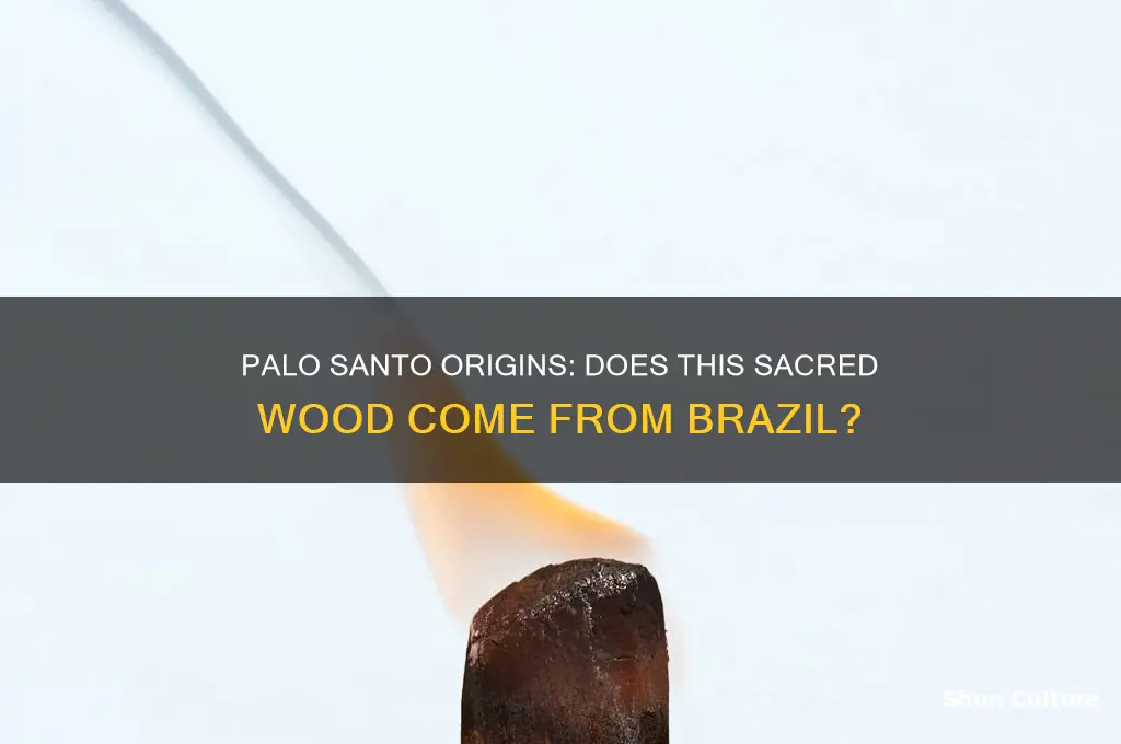 does palo santo come from brazil