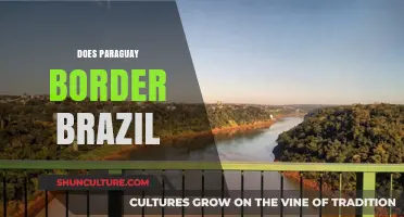 Paraguay-Brazil Border: Exploring the Shared Frontier and Its Significance