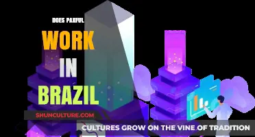 Does Paxful Work in Brazil? A Comprehensive Guide for Users