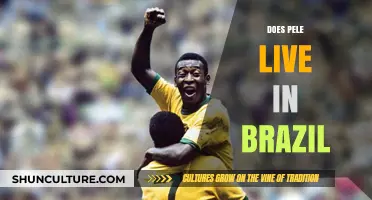 Does Pelé Still Reside in Brazil? Unveiling the Legend's Hometown
