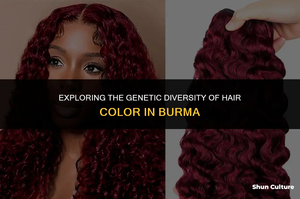 does people from burma have red hair