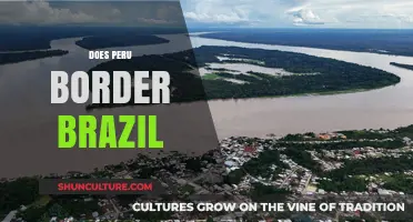 Does Peru Border Brazil? Exploring South America's Geographic Connections