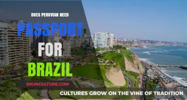 Do Peruvians Need a Passport to Travel to Brazil?
