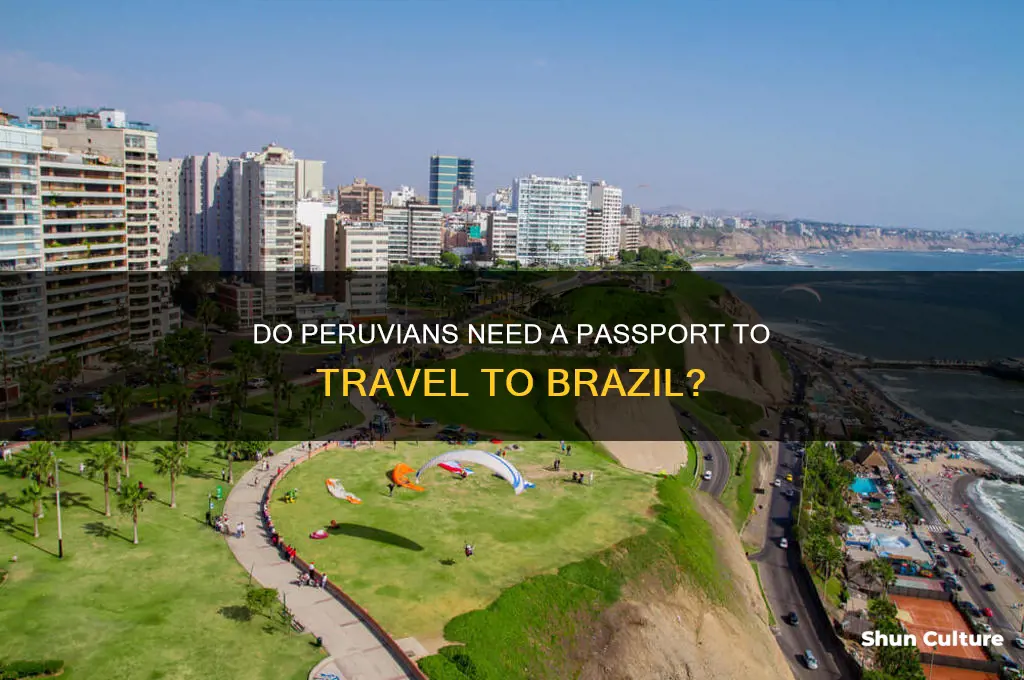 does peruvian need passport for brazil
