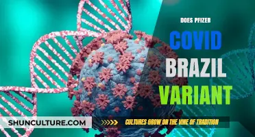 Pfizer Vaccine Efficacy Against Brazil’s COVID-19 Variant: What We Know
