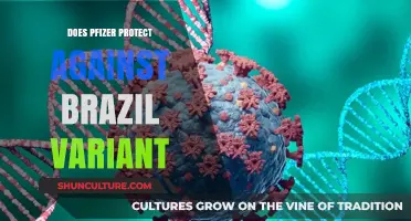 Pfizer Vaccine Efficacy Against Brazil’s P.1 COVID-19 Variant Explained