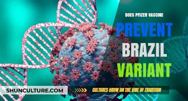 Pfizer Vaccine Efficacy Against Brazil Variant: What We Know