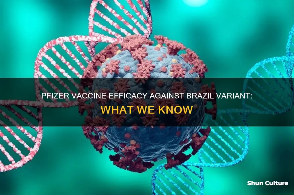 does pfizer vaccine prevent brazil variant