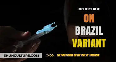 Pfizer Vaccine Effectiveness Against Brazil’s P.1 COVID-19 Variant Explained