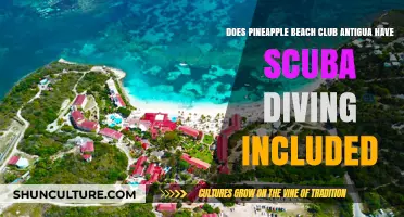 Pineapple Beach Club Antigua: Scuba Diving Included in Your Stay?