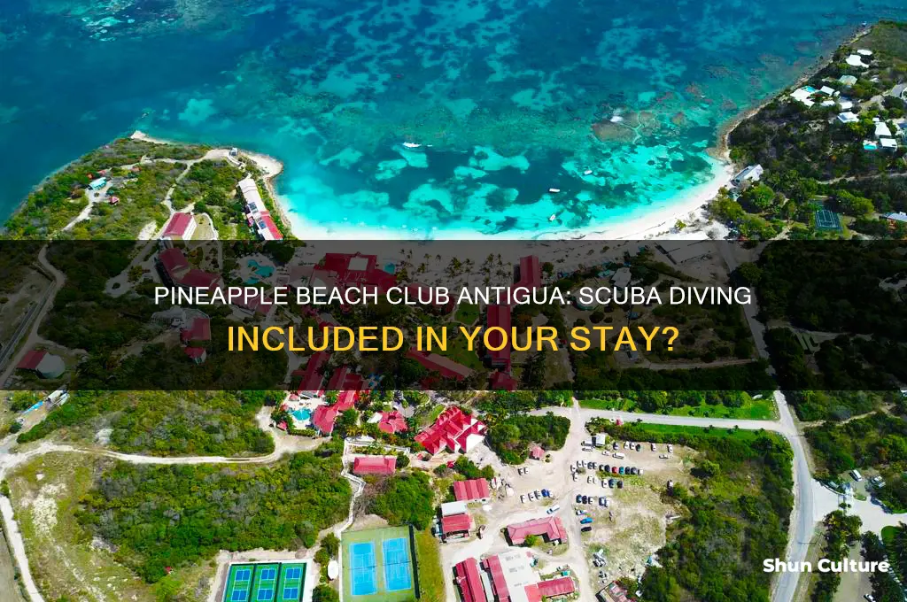 does pineapple beach club antigua have scuba diving included