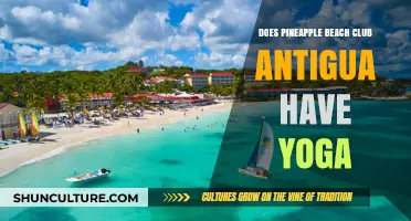 Pineapple Beach Club Antigua: Yoga Offerings and Wellness Amenities Explored