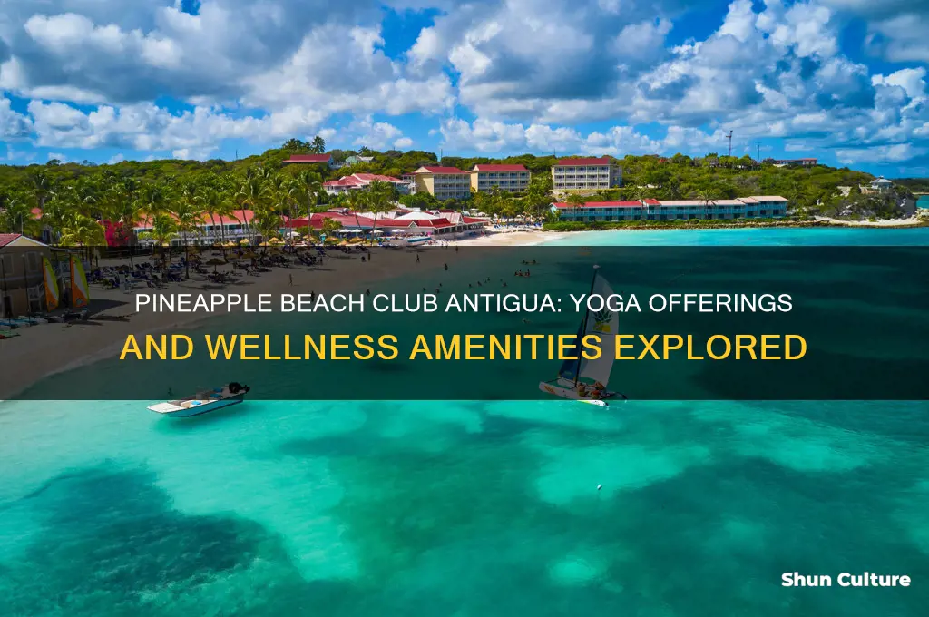 does pineapple beach club antigua have yoga