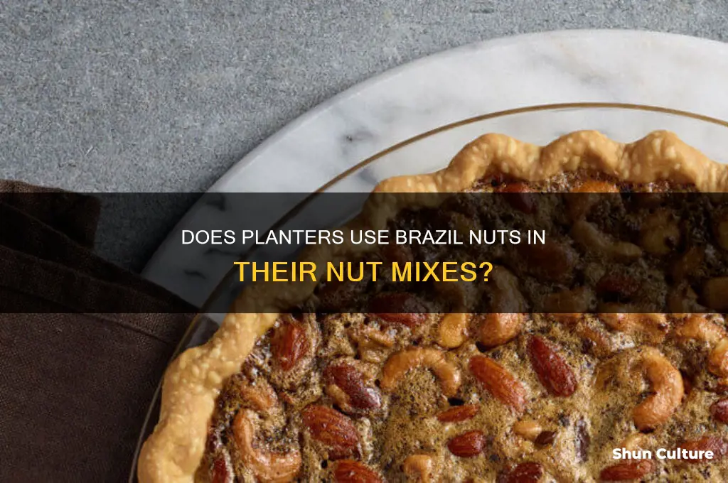 does planters use brazil nuts