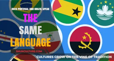 Do Portugal and Brazil Share the Same Language? Exploring Portuguese Variations