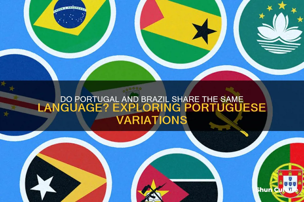 does portugal and brazil speak the same language