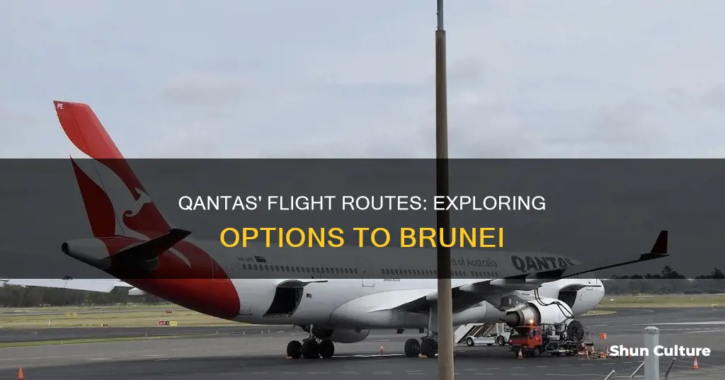 does qantas fly to brunei