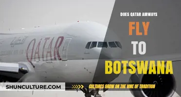 Does Qatar Airways Fly to Botswana? Routes and Travel Options Explained