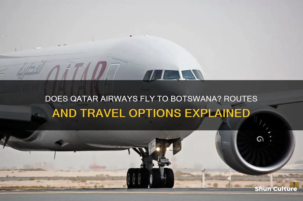 does qatar airways fly to botswana