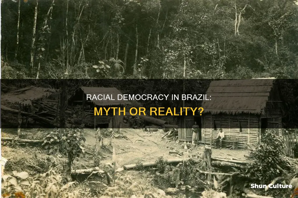 does racial democracy exist in brazil