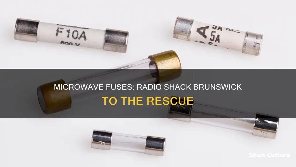 does radio shack brunswick ga sell microwave fuses