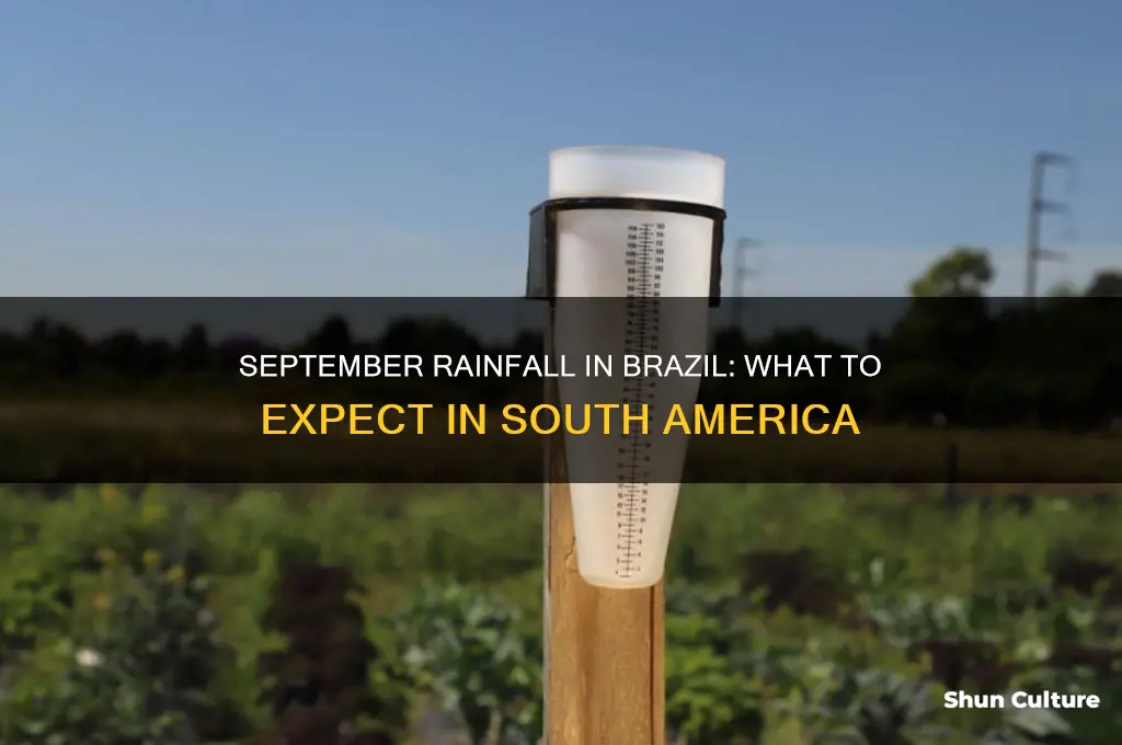does rain in sept in brazil south america