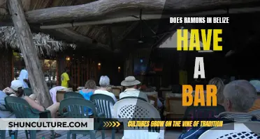 Exploring Belize: Does Ramon's Have a Bar?