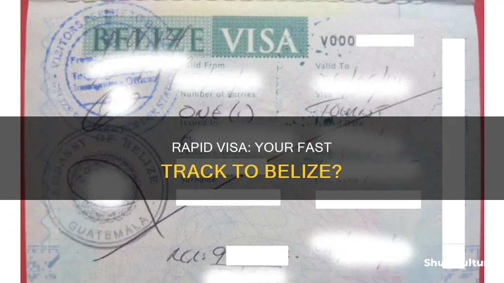 does rapid visa assist in getting belize visa