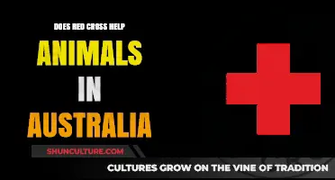 Red Cross: Helping Australian Animals and Humans