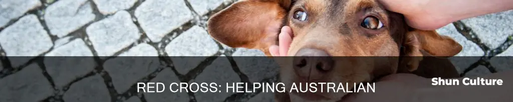 does red cross help animals in australia