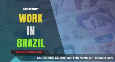 Does Remitly Work in Brazil? A Comprehensive Guide for Users