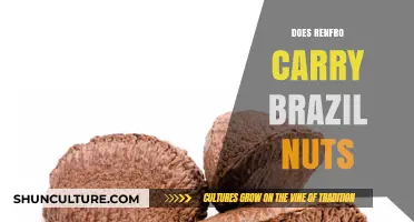 Does Renfro Stock Brazil Nuts? A Comprehensive Product Guide