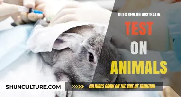 Revlon Australia: Animal Testing Policy Explained