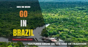 Exploring Rio Negro's Journey Through Brazil: Facts and Insights
