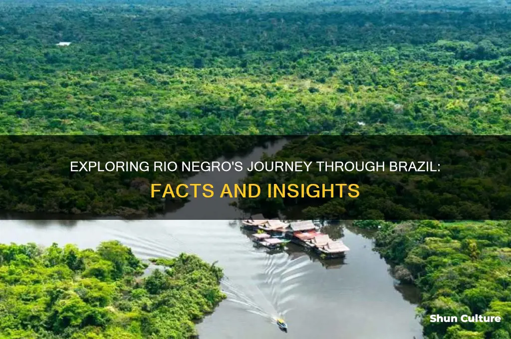 does rio negro go in brazil