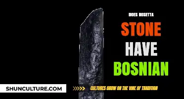 Does Rosetta Stone Offer Bosnian Language Learning? A Comprehensive Review