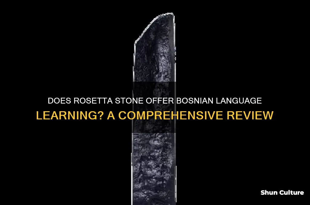 does rosetta stone have bosnian