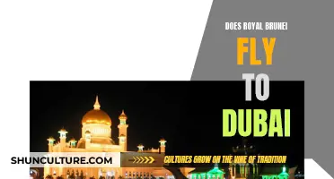 Royal Brunei's Dubai Flights: All You Need to Know