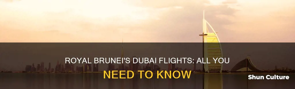 does royal brunei fly to dubai