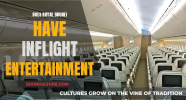 In-Flight Entertainment: Royal Brunei's Offerings Explored