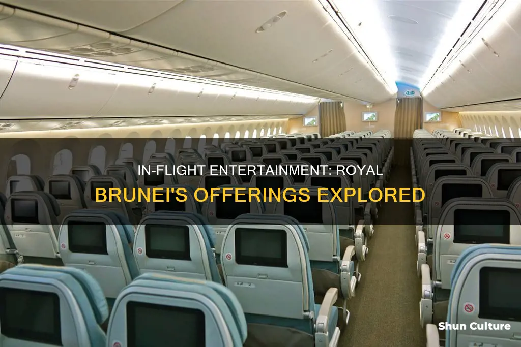 does royal brunei have inflight entertainment