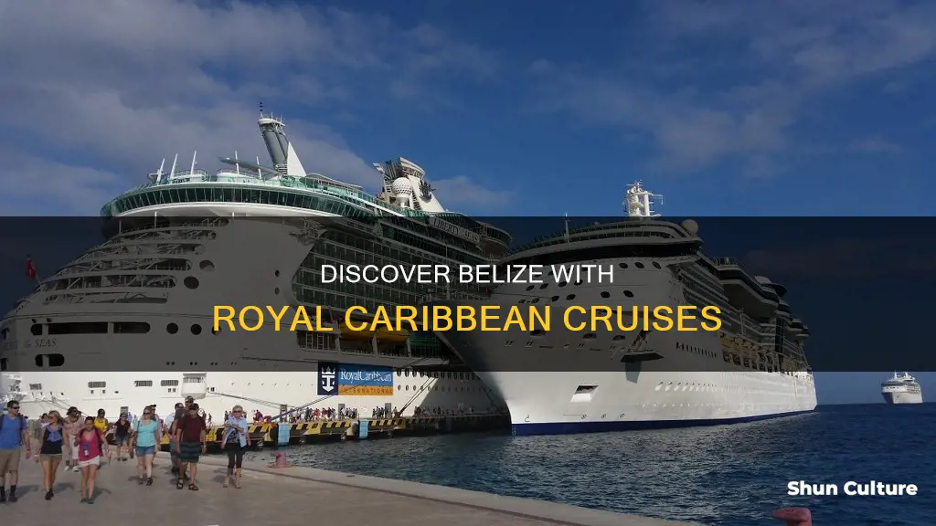 does royal caribbean cruise to belize