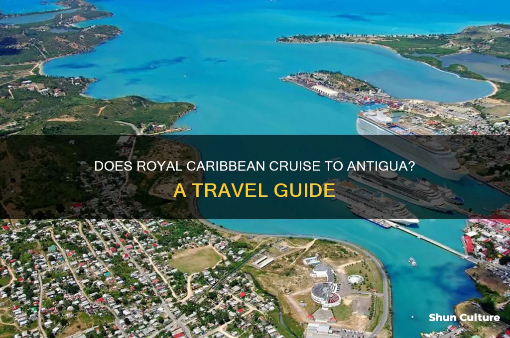 does royal caribbean go to antigua