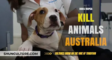 RSPCA Australia: Do They Euthanize Animals?