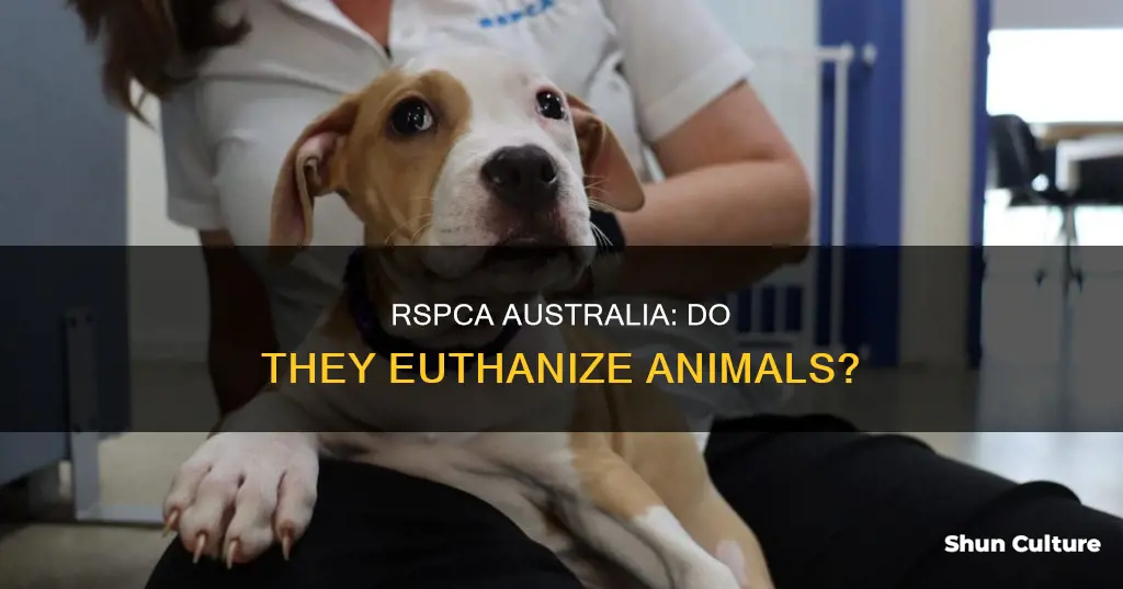 does rspca kill animals australia