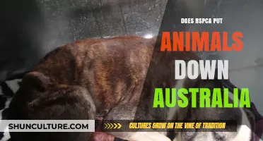 RSPCA Australia: Putting Animals Down?